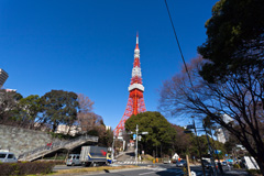 宝珠院の森から見上げた東京タワー