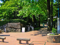 赤塚植物園・入口