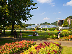 芝生広場と温室