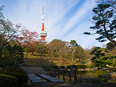 日本庭園から宇都宮タワー