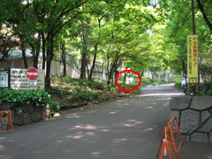 新宿中央公園 入り口