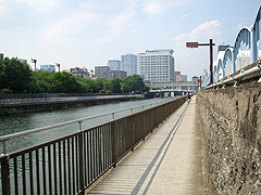横十間川遊歩道