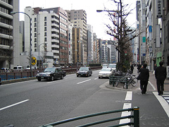 昭和通りを歩く
