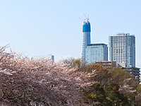 押上の新東京タワー ( 東京スカイツリー )